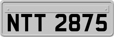 NTT2875