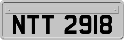 NTT2918