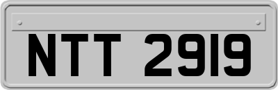 NTT2919