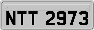 NTT2973