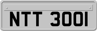 NTT3001