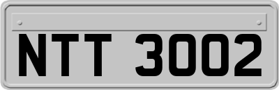 NTT3002