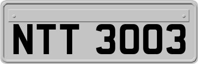 NTT3003