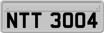 NTT3004