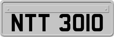 NTT3010