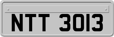 NTT3013