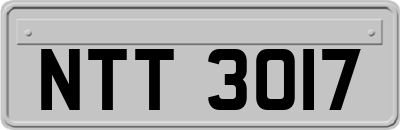 NTT3017