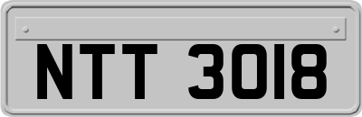 NTT3018