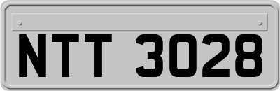 NTT3028