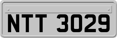 NTT3029