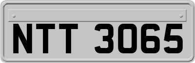 NTT3065