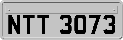 NTT3073