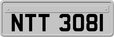 NTT3081
