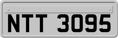 NTT3095