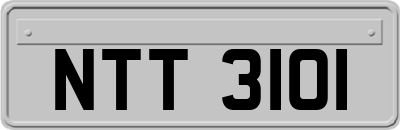 NTT3101