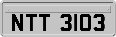 NTT3103