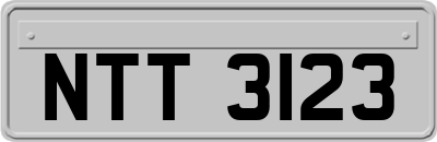 NTT3123