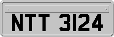 NTT3124