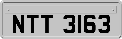 NTT3163
