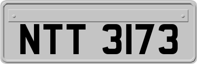 NTT3173