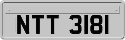 NTT3181