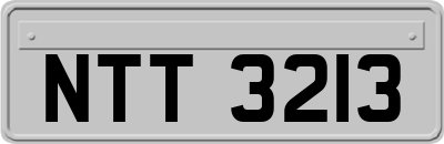 NTT3213