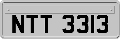 NTT3313