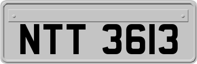 NTT3613
