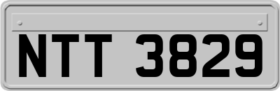NTT3829