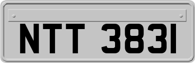 NTT3831