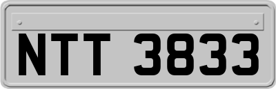 NTT3833