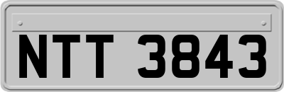 NTT3843