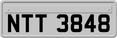 NTT3848