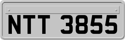 NTT3855