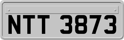NTT3873