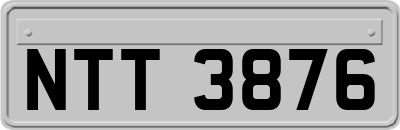 NTT3876