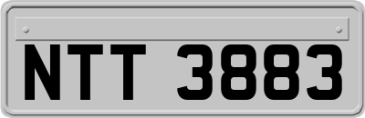 NTT3883
