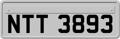 NTT3893
