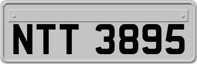 NTT3895