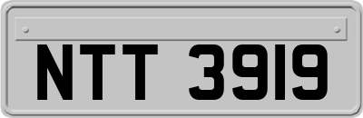 NTT3919