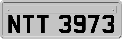 NTT3973