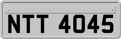 NTT4045