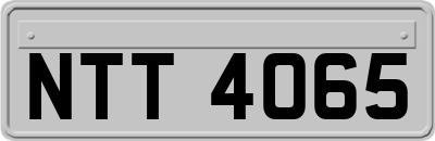 NTT4065