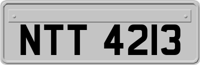 NTT4213