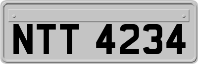 NTT4234