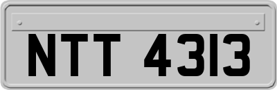 NTT4313