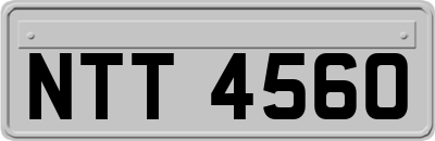 NTT4560
