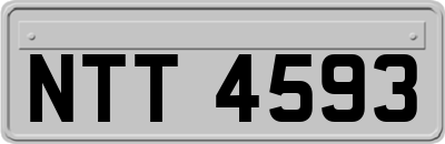 NTT4593