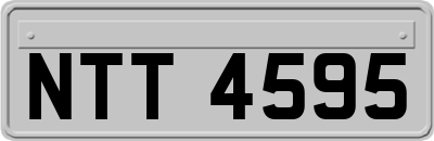 NTT4595