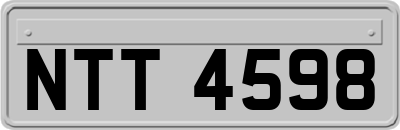 NTT4598